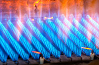 Dreggie gas fired boilers